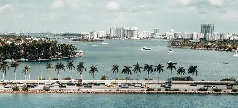 people on the beach during daytime