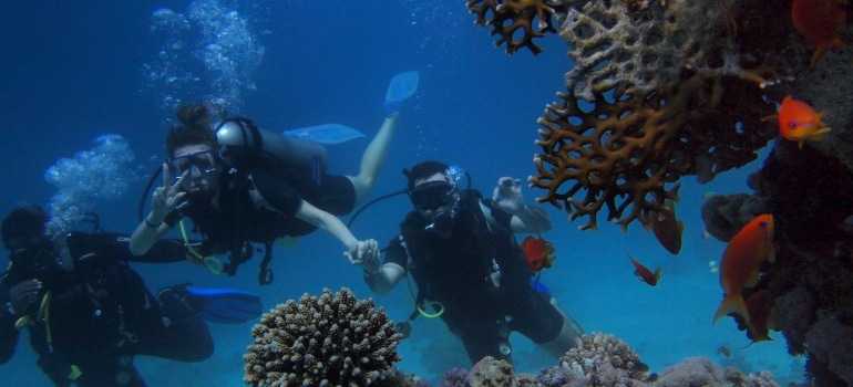 three divers around a coral reef