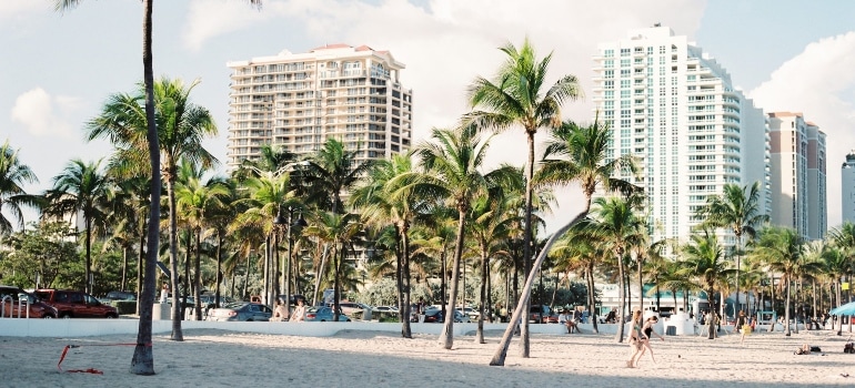 a beach in Miami