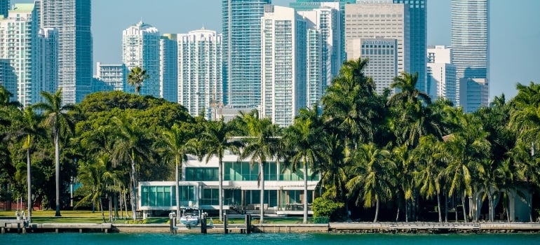 Miami Beach trees buildings