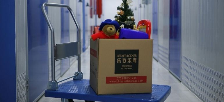 toy bear and Christmas tree in cardboard box in storage