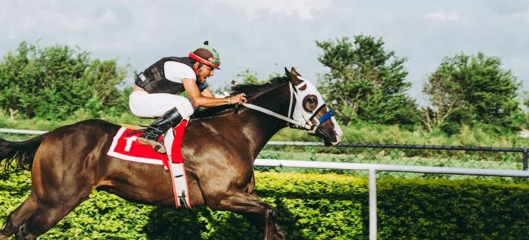 man riding horse