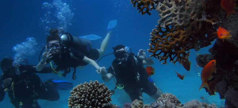 people scuba diving in one of the best natural beauties in Miami