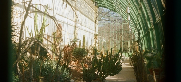 a botanical garden in one of the best natural beauties in Miami