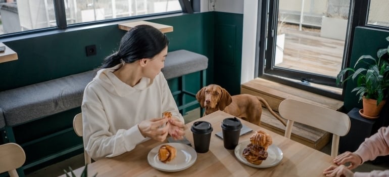 A woman with her dog sitting in one of the bet-friendly restaurants in Miami