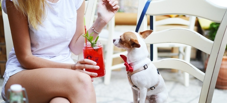 A woman sitting with her [et by her side in one of pet-friendly restaurants in Miami