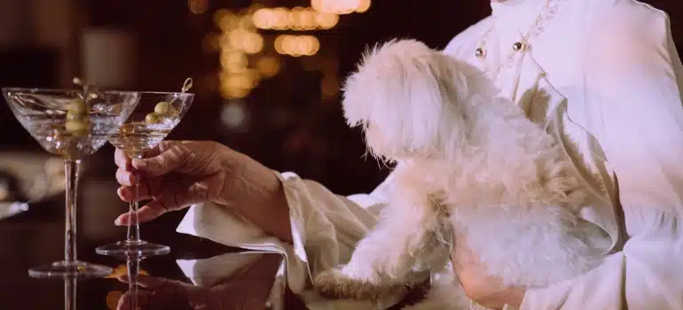 a woman drinking martini and holding a dog
