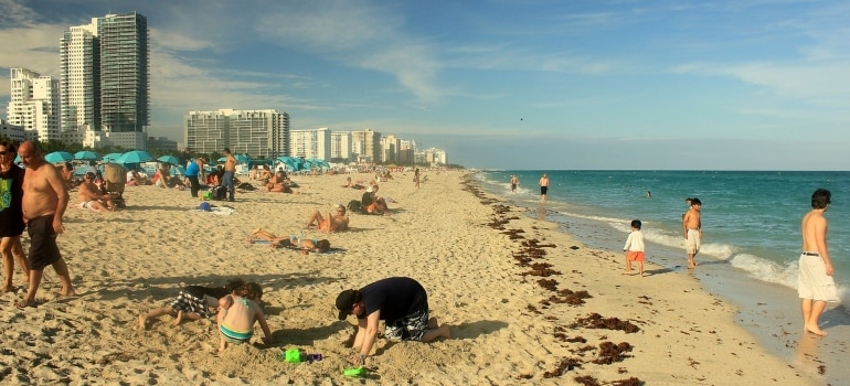 people on the beach enjoying