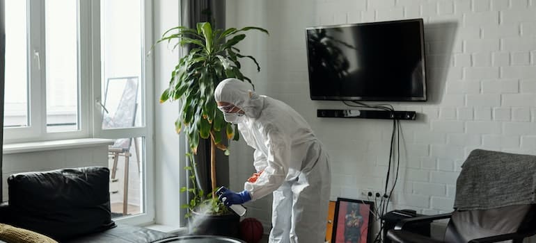 Person cleaning furniture.