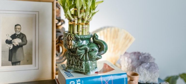 vase and plants you can use to arrange your Aventura home after the move 