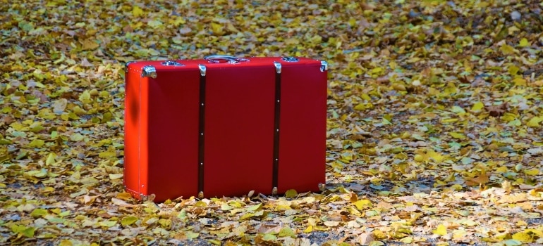 suitcase in the fall