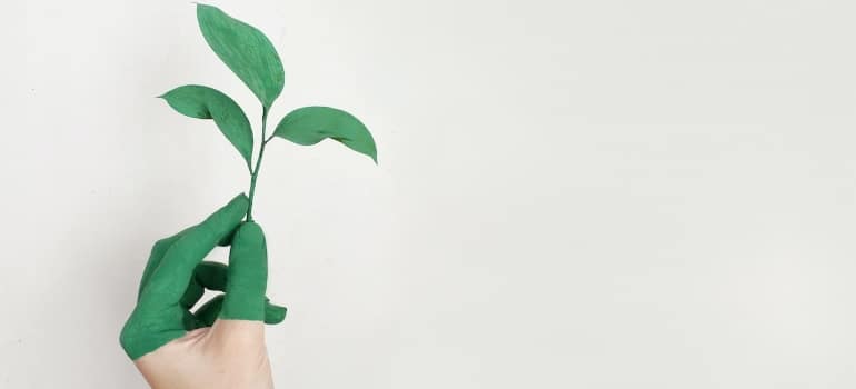 a hand hal painted in green holding a plant