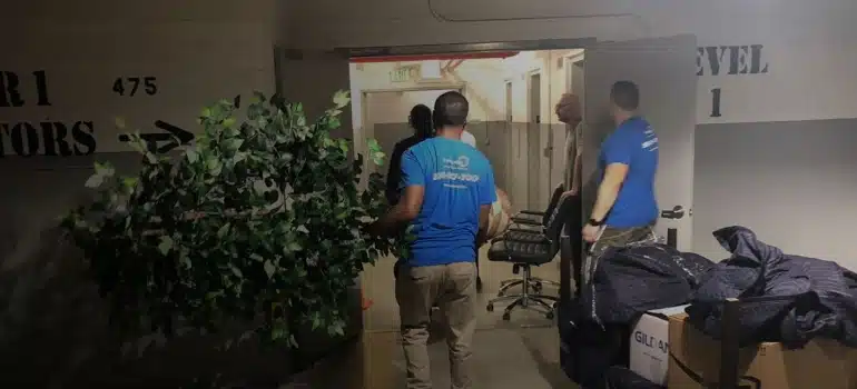 pro movers miami