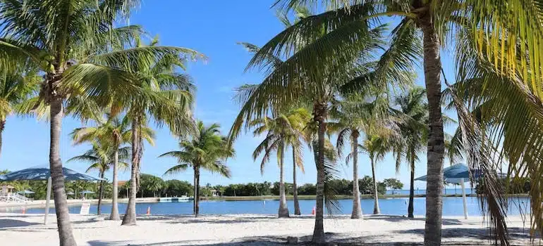 Homestead beach