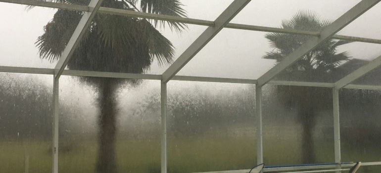 Two palms seen on a rainy day through a wet screen on pool enclosure