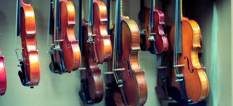 collection of violins