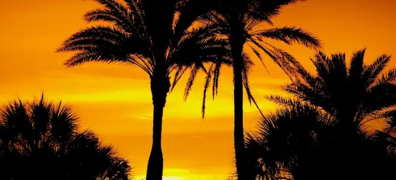 golden hour
