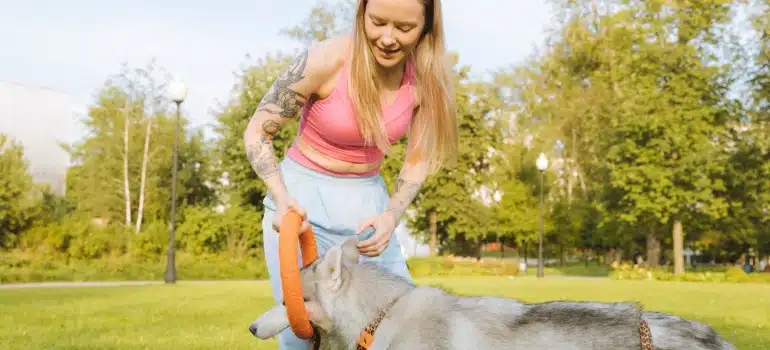a pet trainer