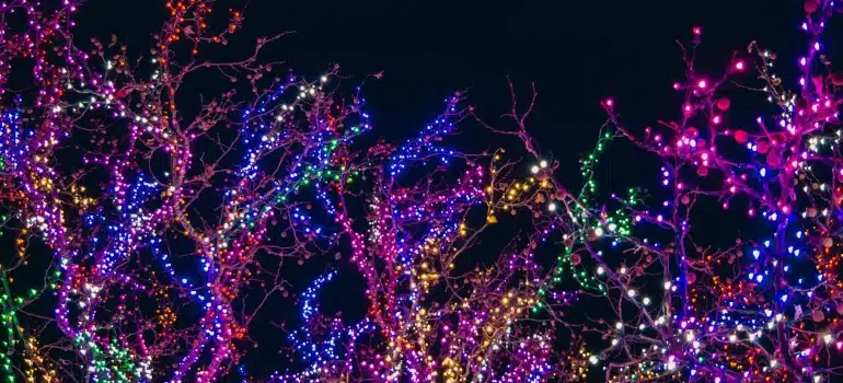 Christmas lights