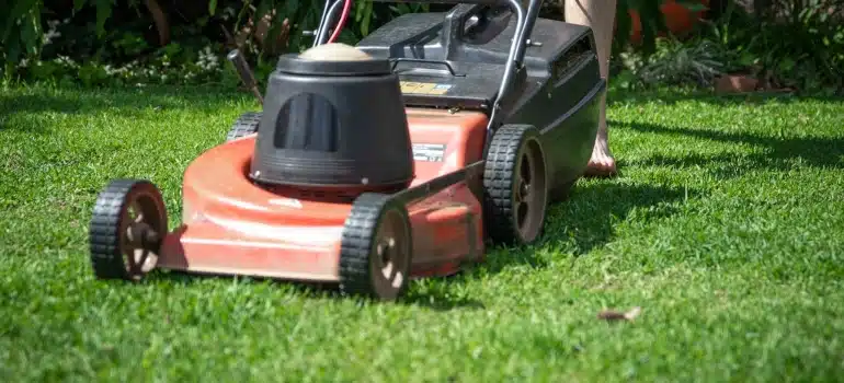 lawn mower - one of the most difficult items to move interstate