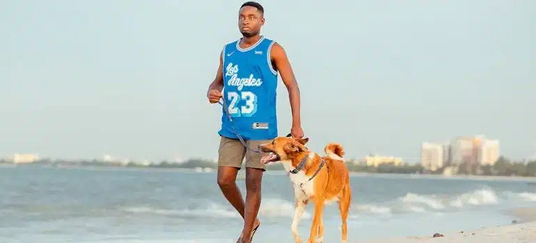 a man walking a dog
