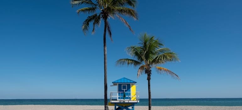 Unveiling the best beaches in Miami Dade County