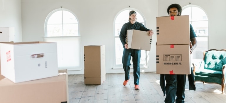 movers carrying boxes