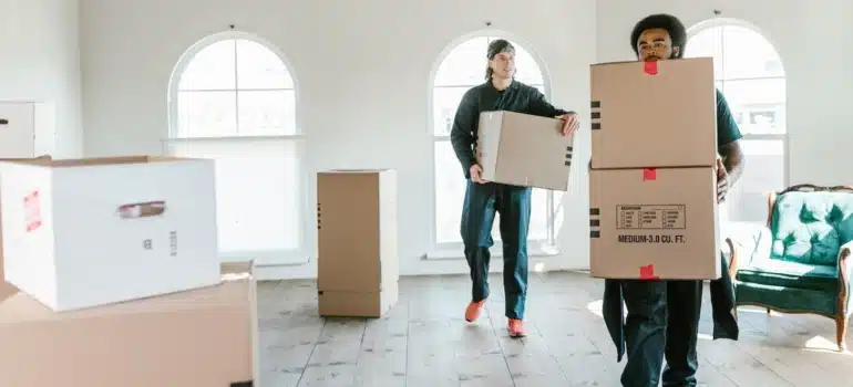 movers carrying boxes