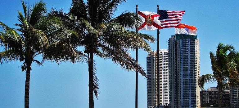 Palm trees and Florida and U.S. flags with a Miami skyline.