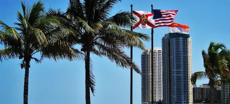 Palm trees and Florida and U.S. flags with a Miami skyline.