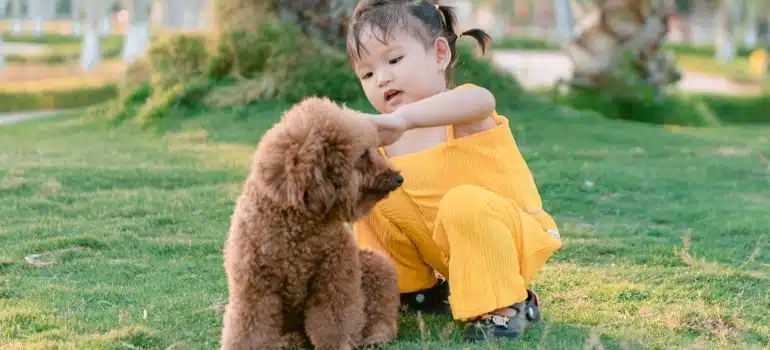A child in a bright yellow outfit kneels on green grass, gently interacting with a fluffy brown dog nearby.