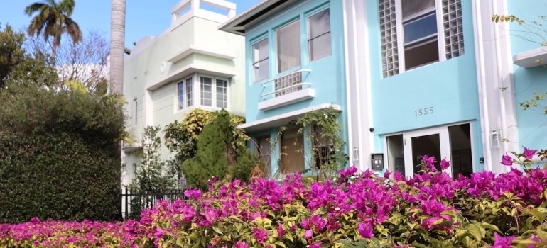 a few colorful houses in a row with purple flowers in front of them 