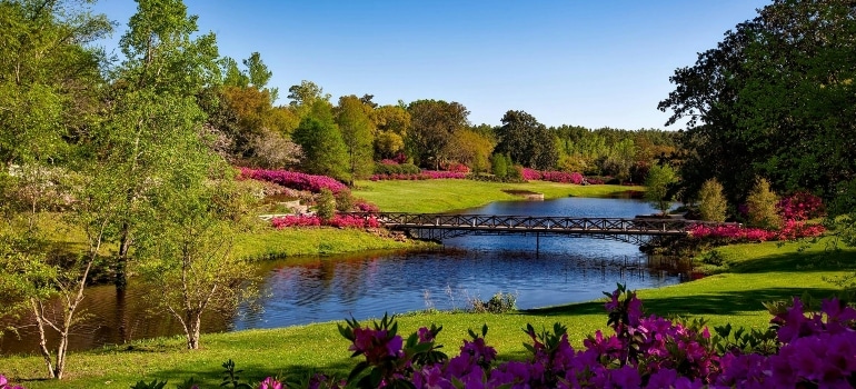 Park with a lake