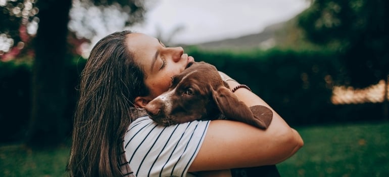Person hugging a dog