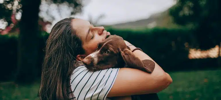 Person hugging a dog