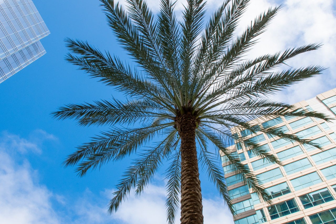 Guide to moving to Miami without a job