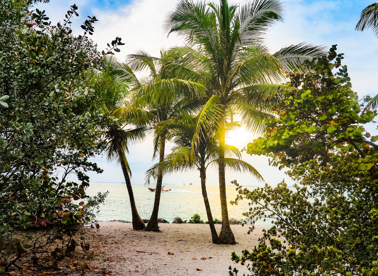 The 6 most beautiful cities in South Florida