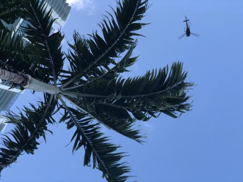 Enjoy the shade under the palm trees while our moving experts in Miami handle the grunt work.